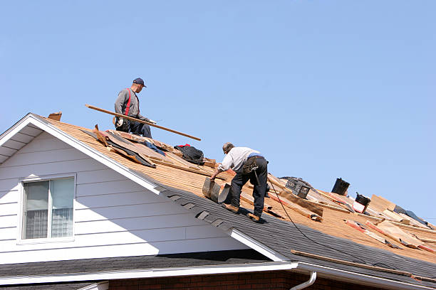 Best Skylight Installation and Repair  in Moyock, NC