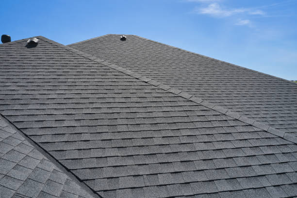 Best Roof Leak Repair  in Moyock, NC